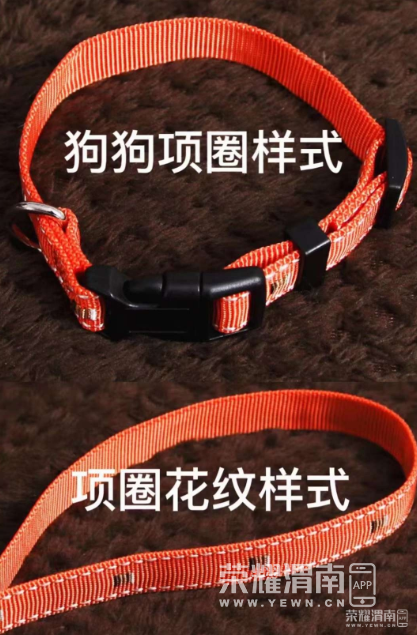 ΢�Ž�ͼ_20230410103029.png