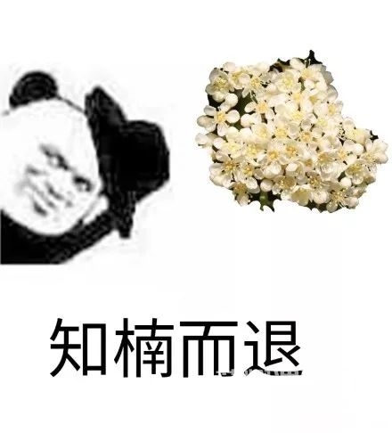 150152ozo1hqukhe1h2qzw.jpeg