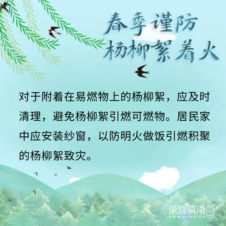 092157s0jbqkxnp778z0np.png