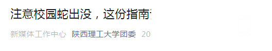 114923yb6bsjkpbeppjp2l.png