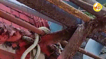 114924x1dzhtr2uvkrxfxy.gif
