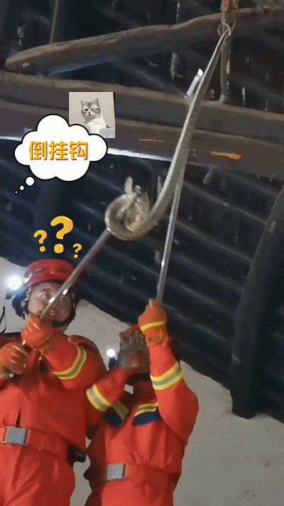 114926vl6dst4dztczcdgt.gif