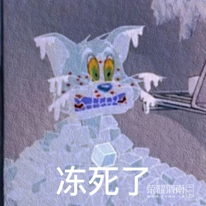 142954ub4c1a54a5blc13b.jpeg