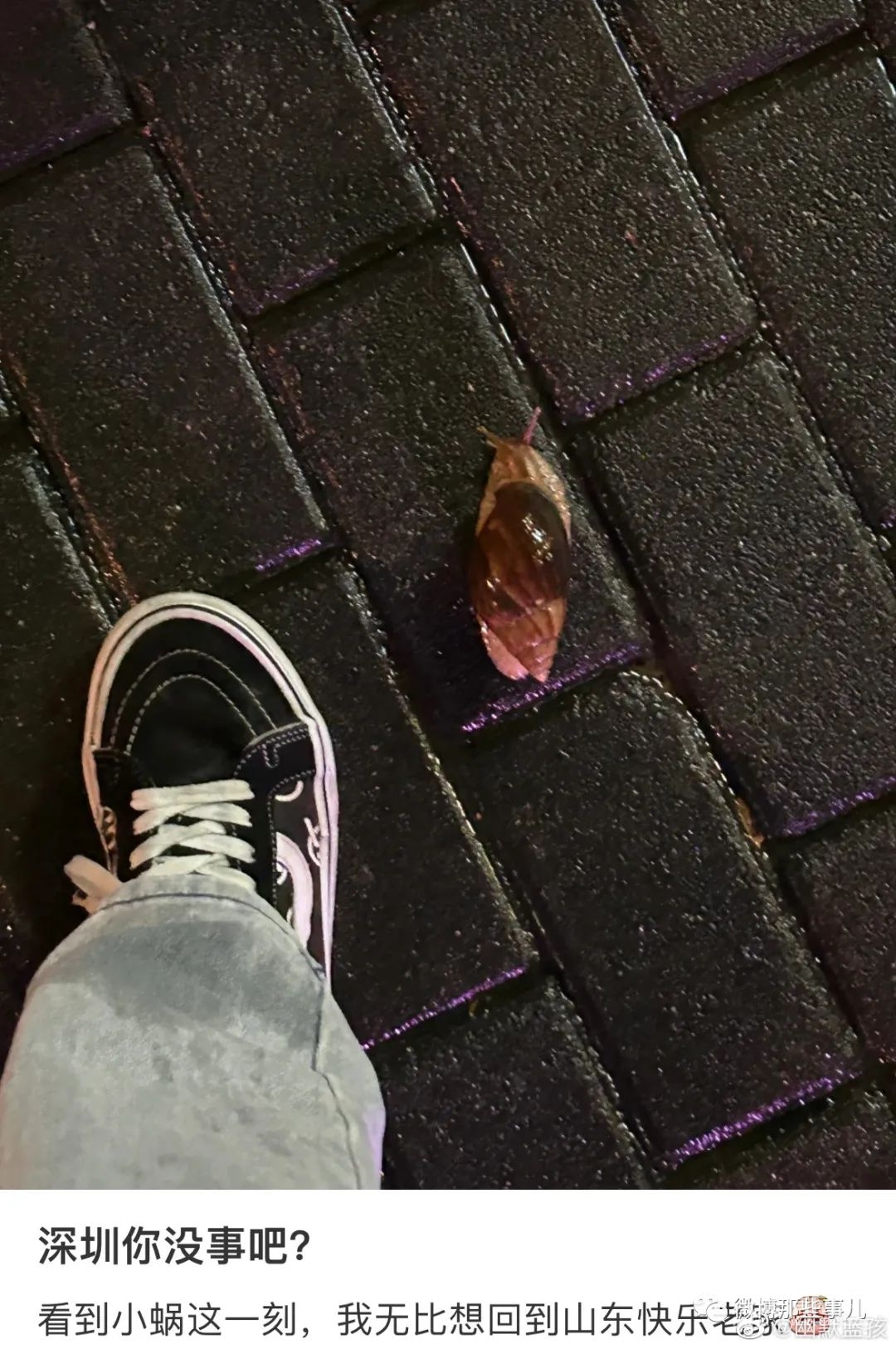 171030nku9uvqdmtqcu7v6.jpeg