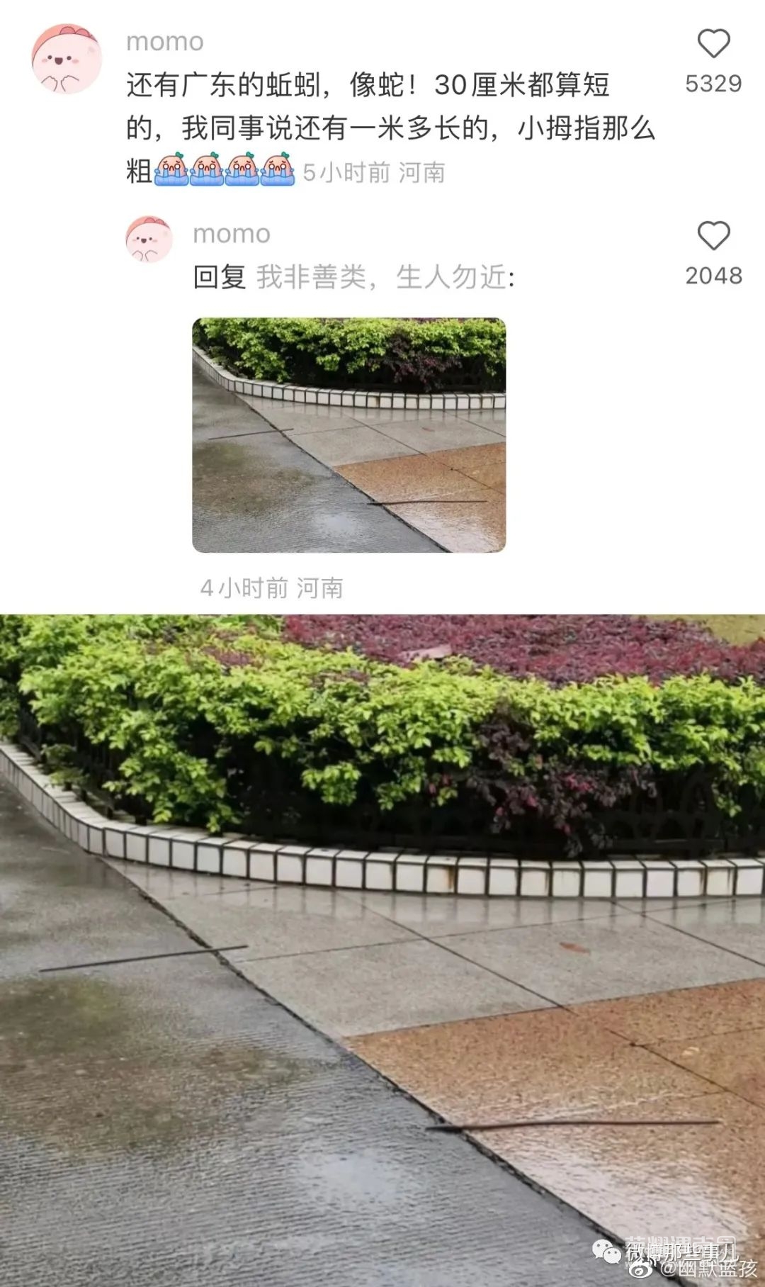 171032kxkwj1zf1x5ji4ji.jpeg