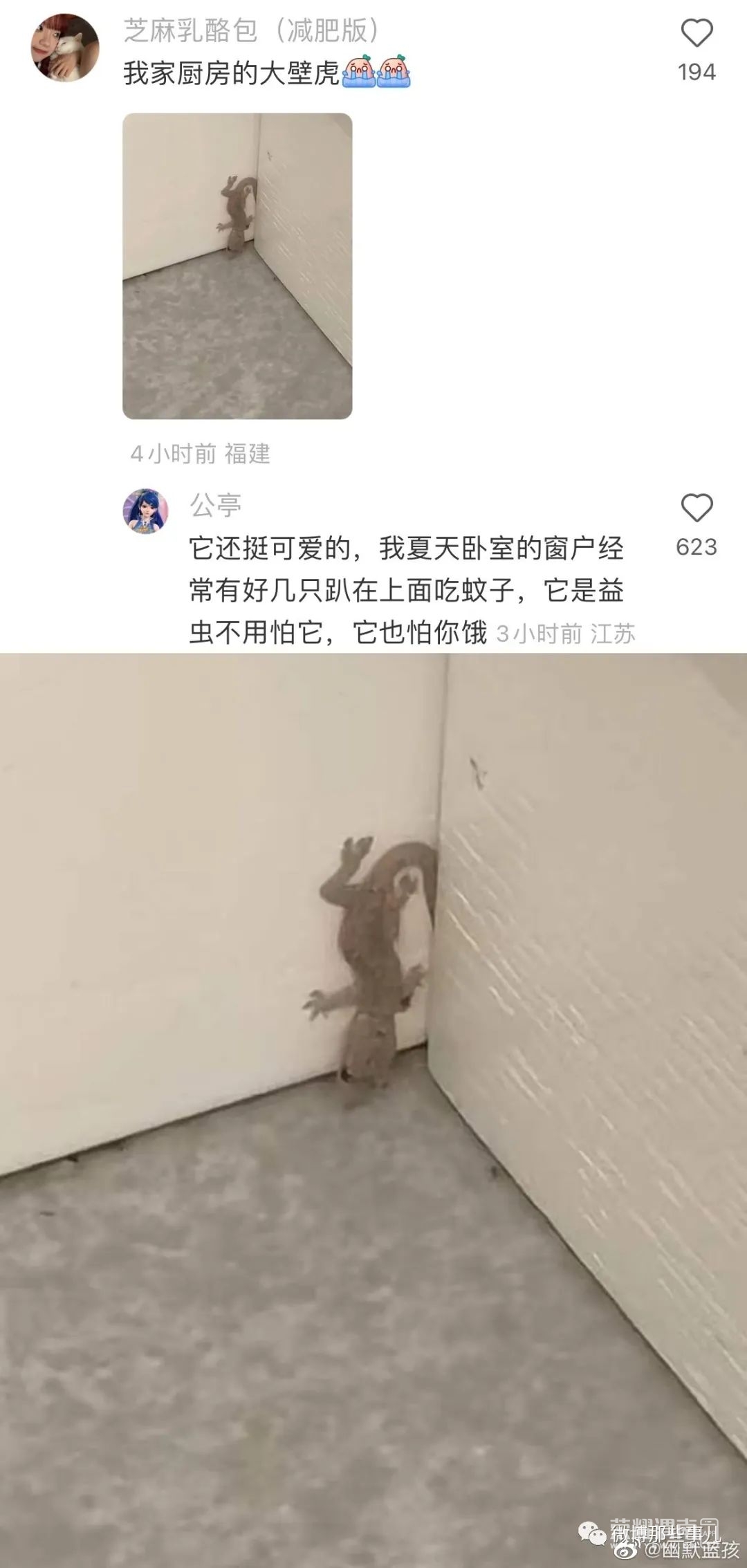 171033o5vy469b5n547795.jpeg
