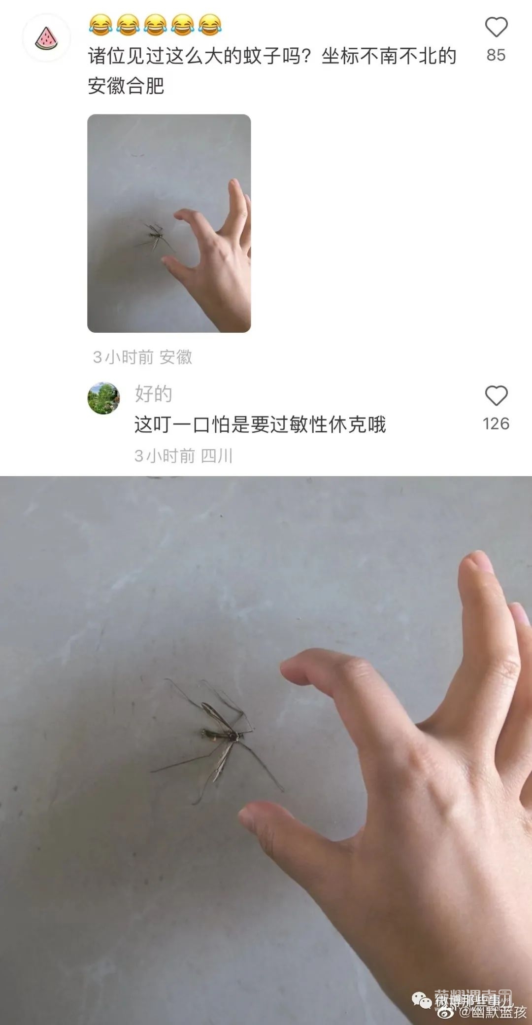 171033zxaaxqqpp9eqxh3e.jpeg