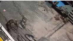 ΢�Ž�ͼ_20230425093056.png