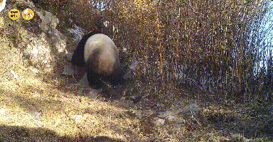 162508z3yyyckk6zcg1khf.gif