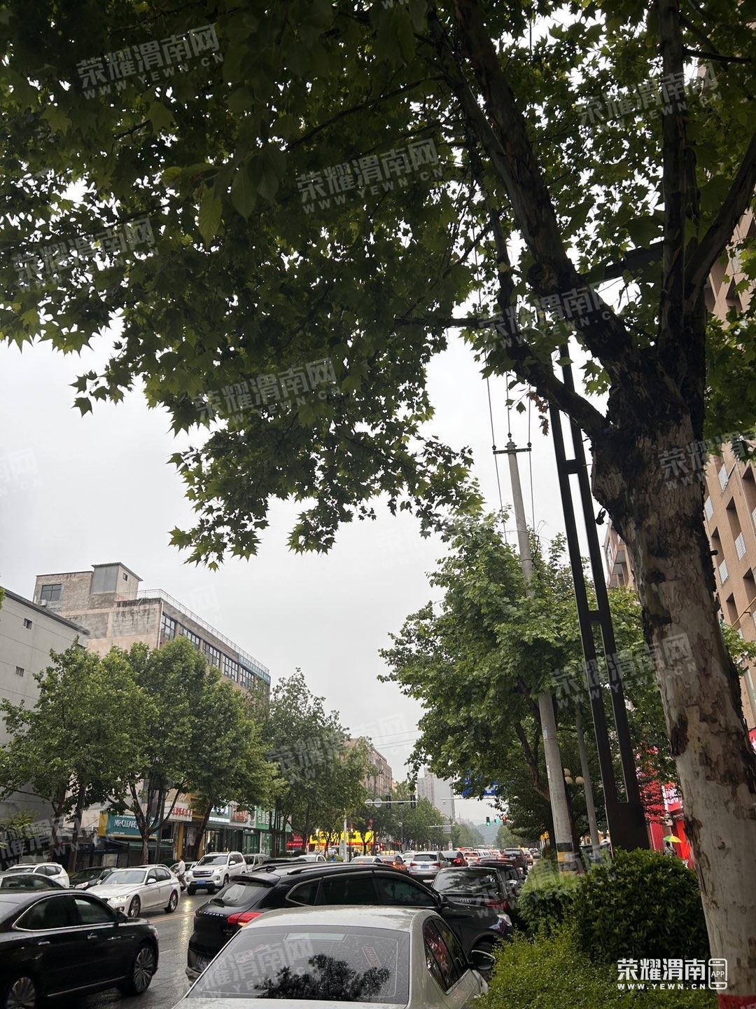 183945herredr14yue81s1.jpg