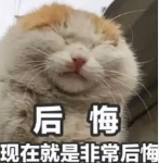 144504xqgkpqzxdhkcx6xq.png