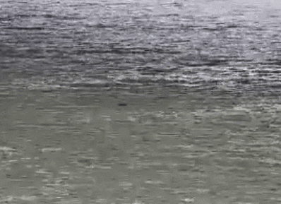 143117txddlthxlzo0itkq.gif