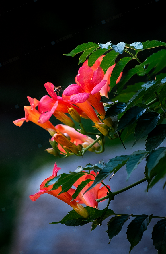 20230619081711front2_0_233519_Fl6rVZfW8zDVx_wzuyW3YgtbvoJA.png