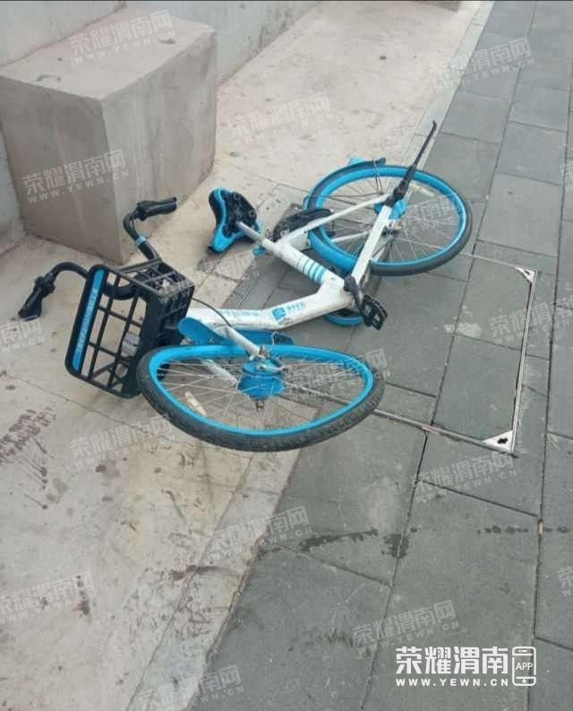 083232cnzbzgv5jnnk52eb.jpg