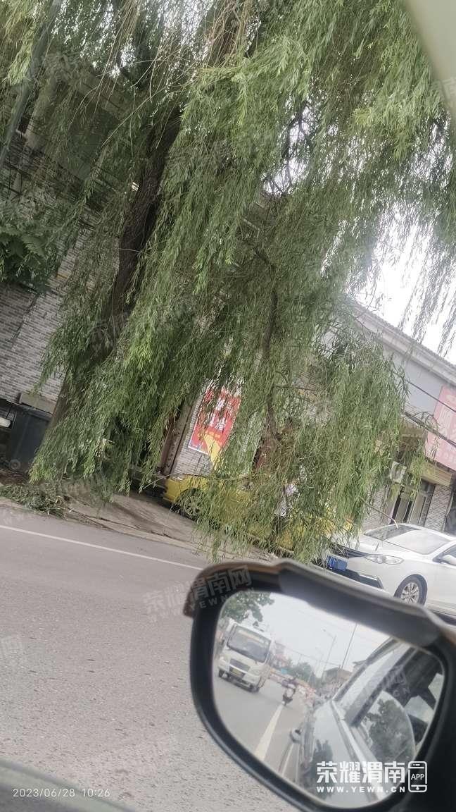 ΢��ͼƬ�༭_20230628104700.jpg