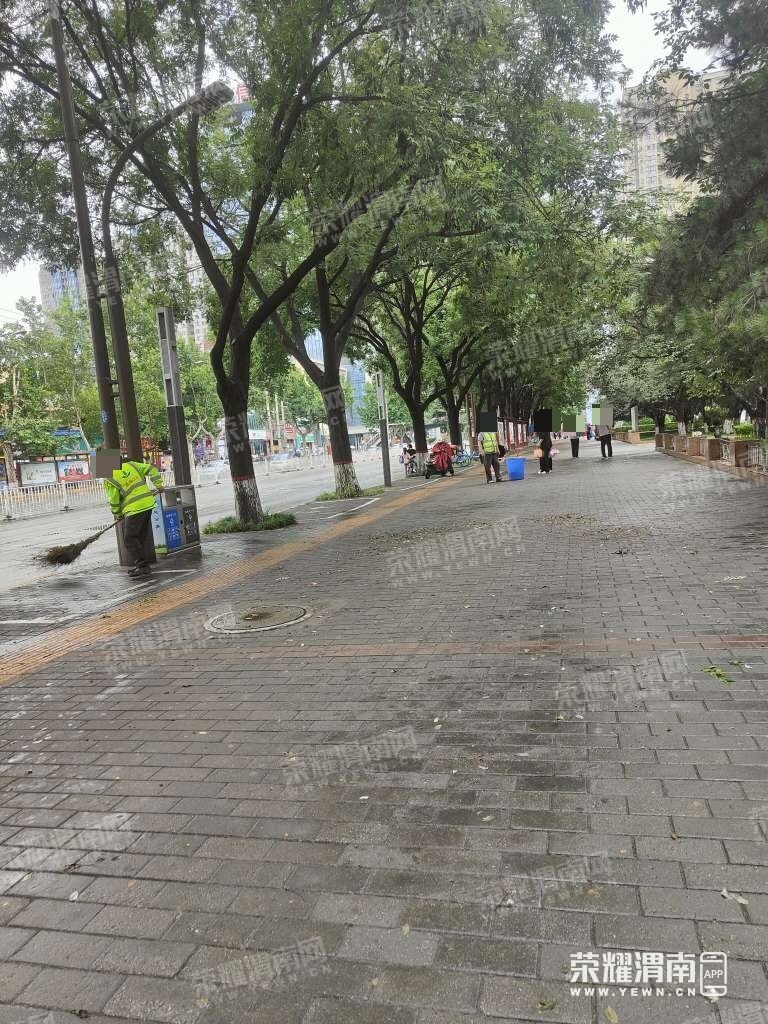 141154kshbkbh6oahrnbnn.jpg