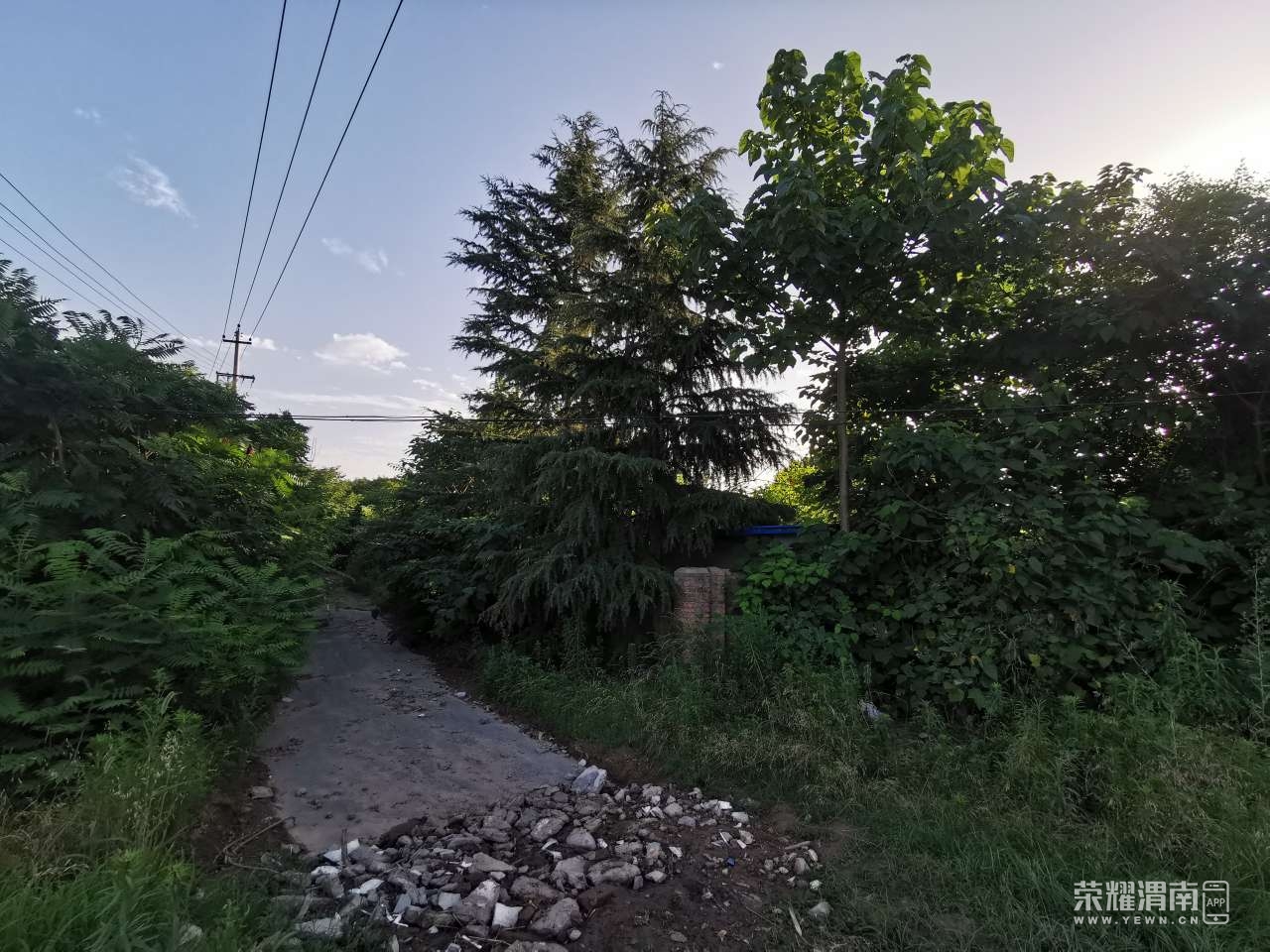 20230705075451front2_0_71306_Fq86pkL1ucA0M4Cpa6y2480Uvroo.jpg