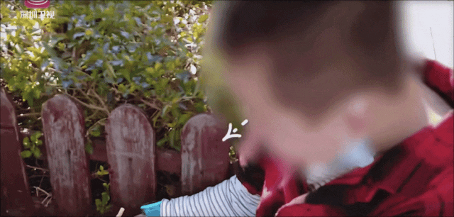 151959u3n306g38610v49n.gif