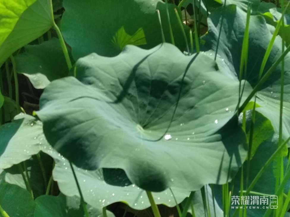 20230728135841front2_0_241611_Fus7mGgwDqzfDKd9b8j0PvcD_ugl.jpg