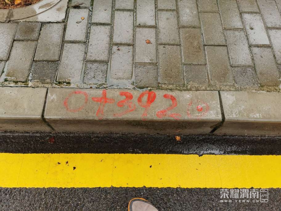 20230730120458front2_0_71306_Fm5KoibguHx02e21ST8s3aR06GIY.jpg