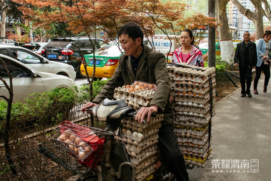 �綯�� (14).jpg