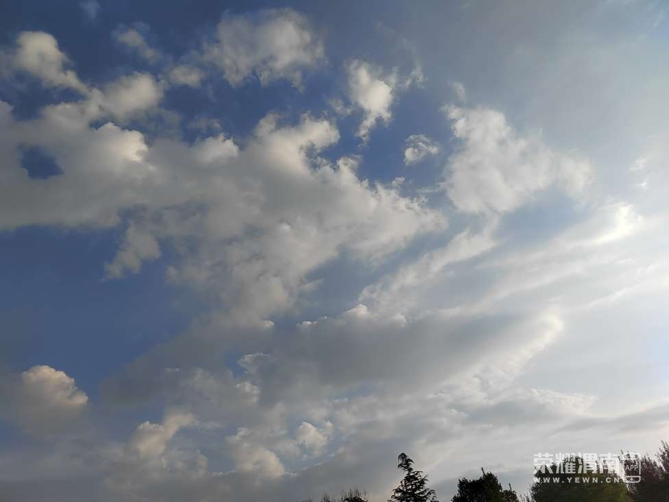 20230802120727front2_0_241611_FhoJCZyo3ABvqCRvNlzrgjZh3CbP.jpg
