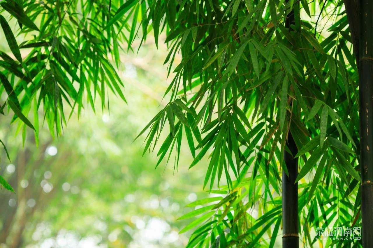 20230804101709front2_0_241611_FqcjRHVg_2mdcG2_x6zXjk-csYNz.jpg