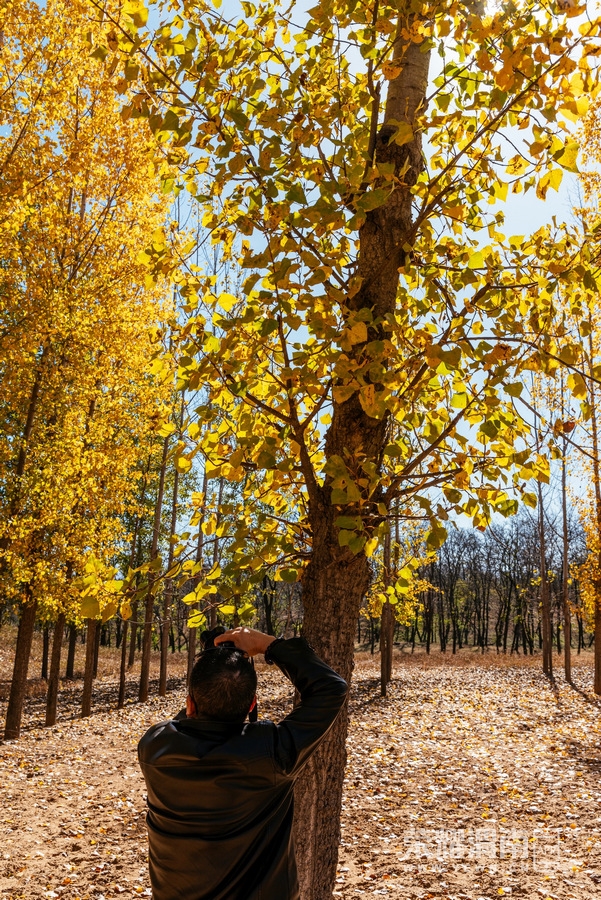 ������ (33).jpg