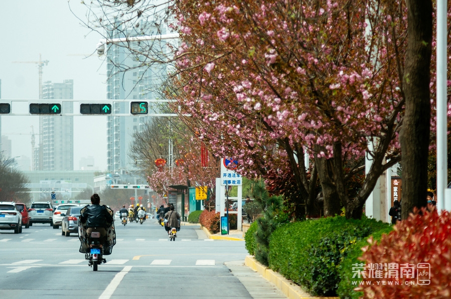 μ�ϳǽ��Ĵ����ﶬ (110).jpg