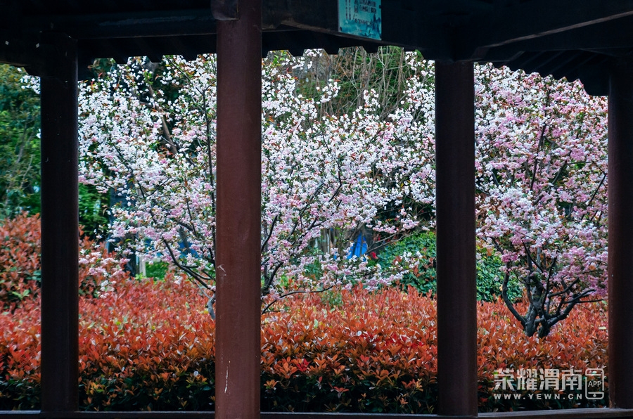 μ�ϳǽ��Ĵ����ﶬ (121).jpg