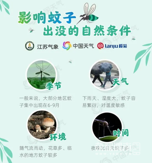 105613jcrx86r355ed6rw3.png