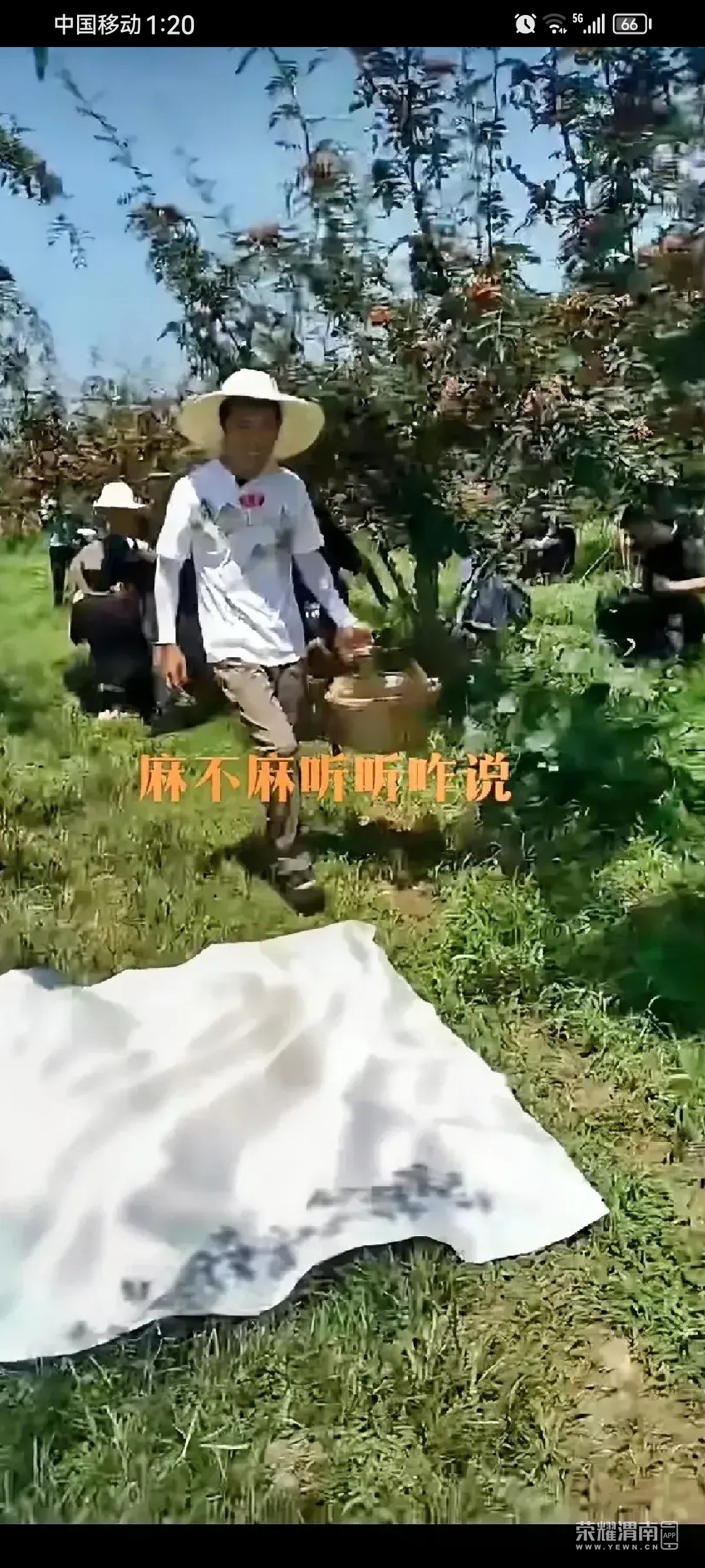 20230817132207front2_0_230410_Fi5aY3TMdatWbosiscDAsmZUUO_K.jpg