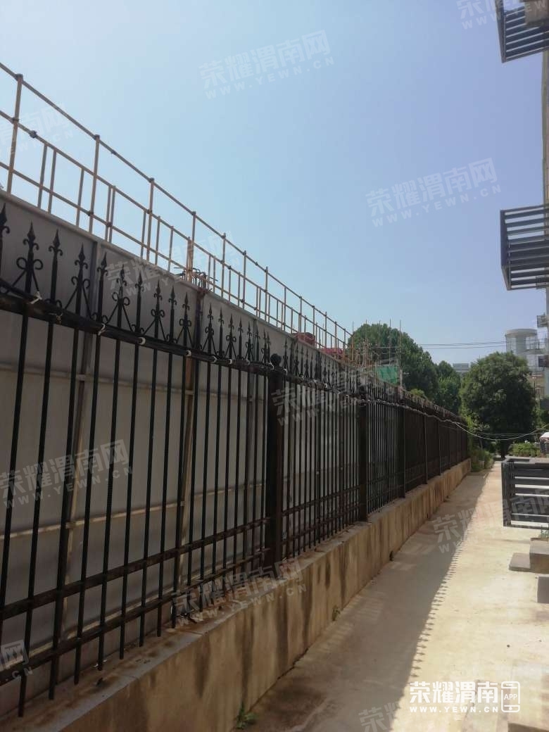 190802l1szk2zhp3d32wpd.jpg