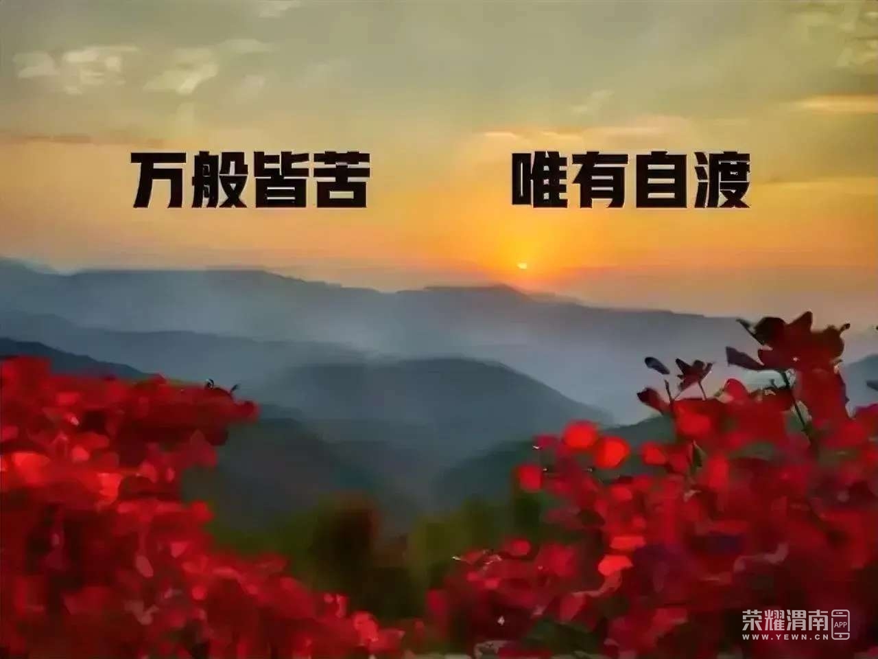 20230824150913front2_0_228062_Fk1LDnW3nlHTqAazLXIJTQdR0pXl.jpg