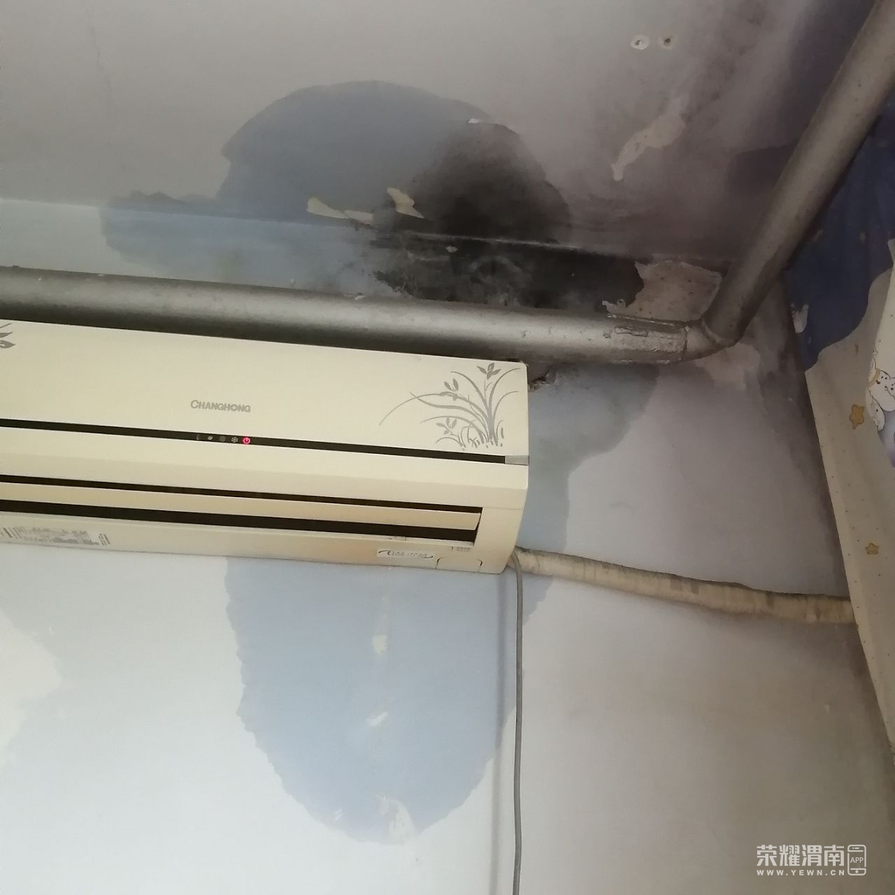 20230827202441front2_0_230202_FuMRoICpL9fR9K70KGFZ_xrBaBJ3.jpg