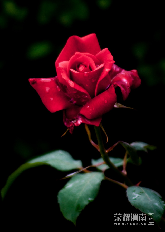 _IGP5427.jpg