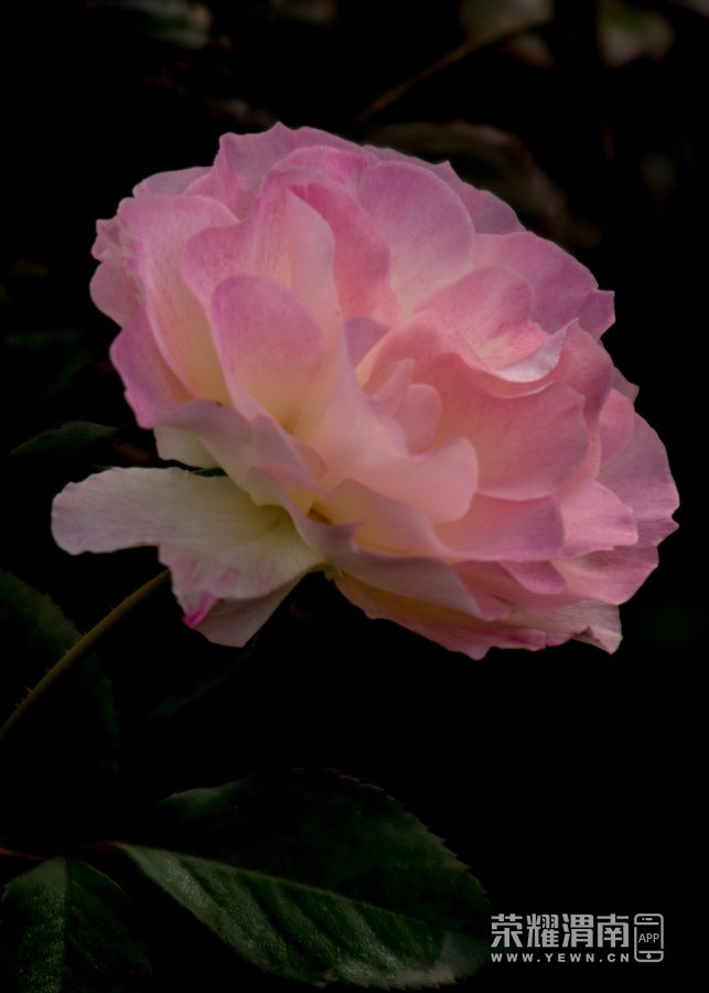 _IGP8580.jpg