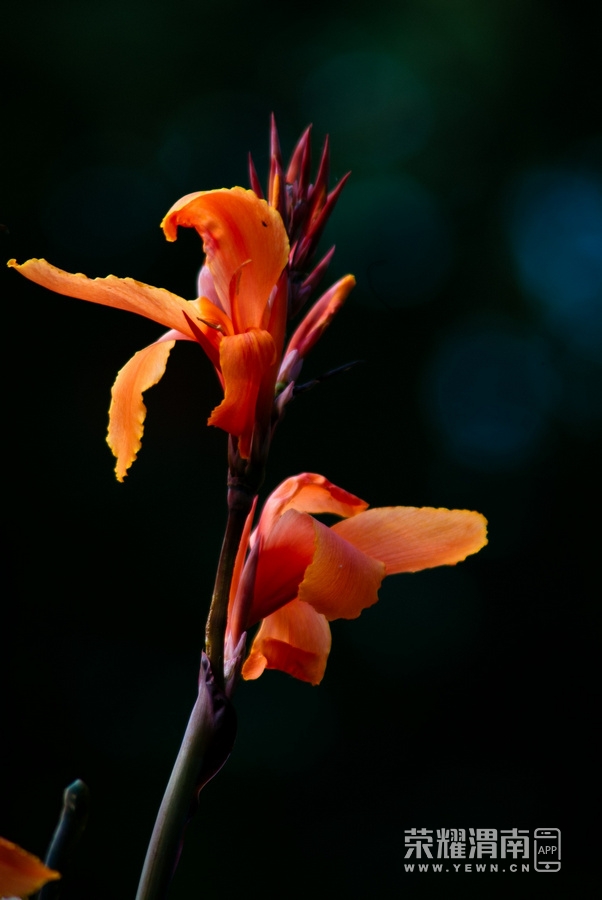 _IGP8298.jpg