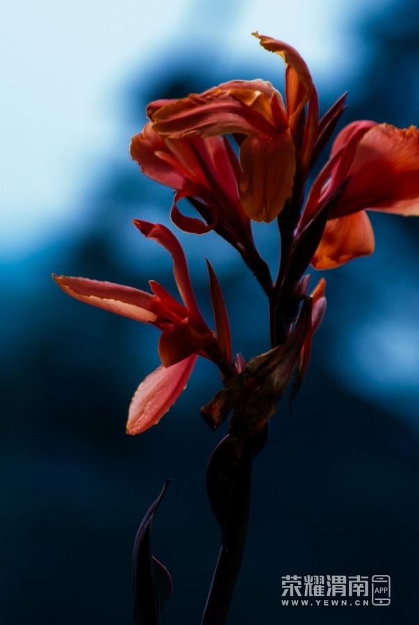 _IGP8296.jpg