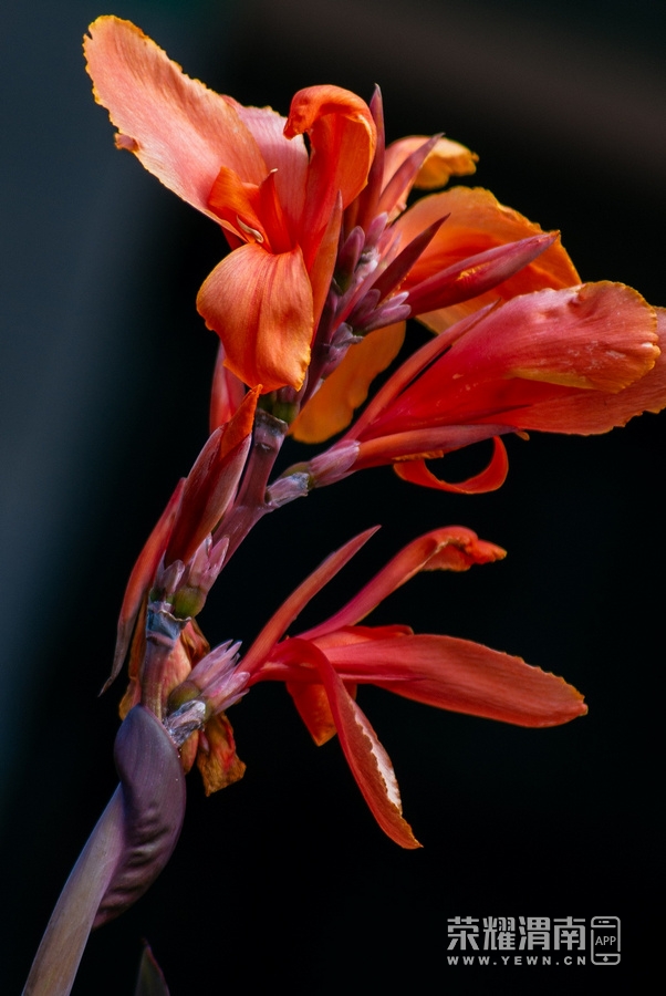 _IGP8301.jpg