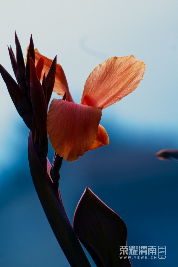 _IGP8297.jpg
