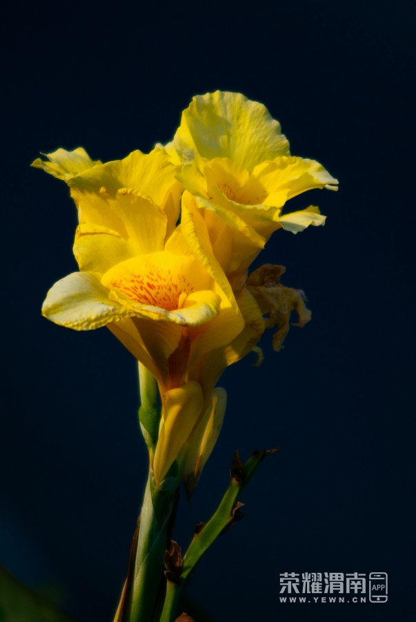 IMGP9821.jpg