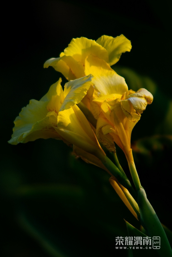 IMGP9828.jpg