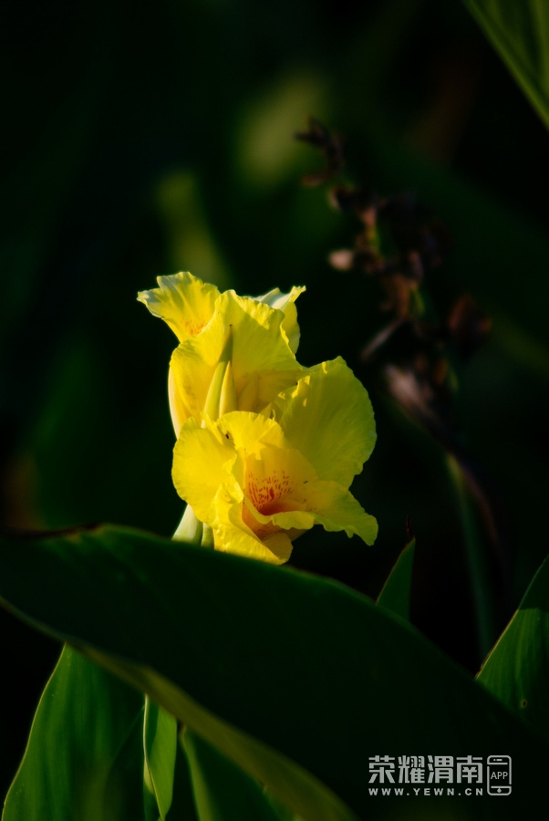 IMGP9826.jpg