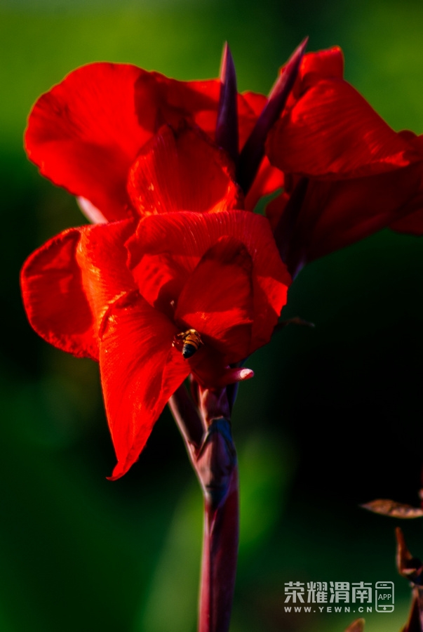 IMGP9824.jpg