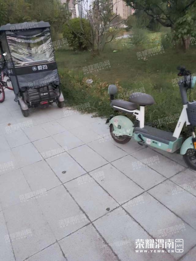 213649c2yuqwzwyylqy02t.jpg