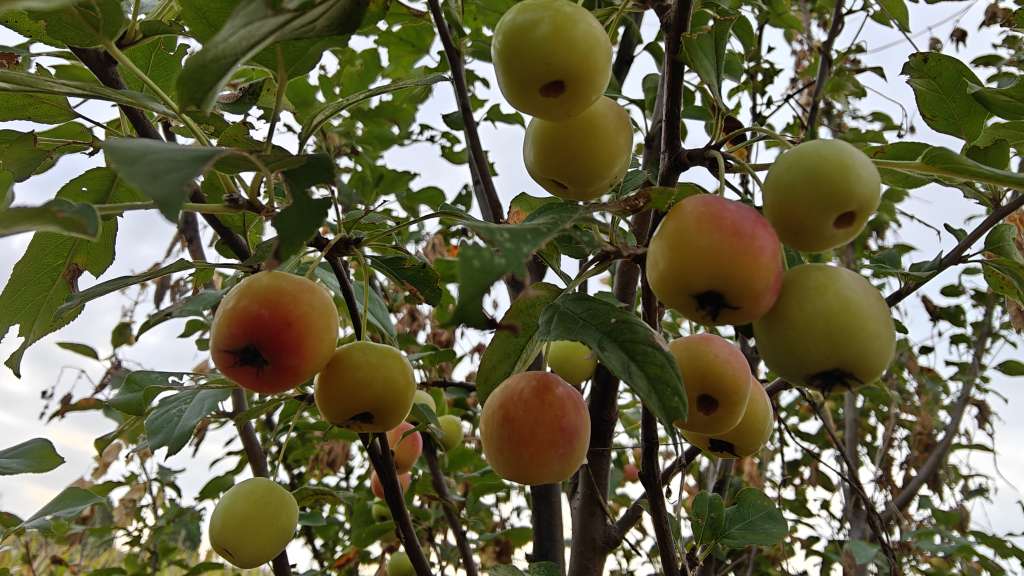 20230910091855front2_0_8888_FsUGFwWwr-oXd2PkW2MgEdMrLrlh.jpg