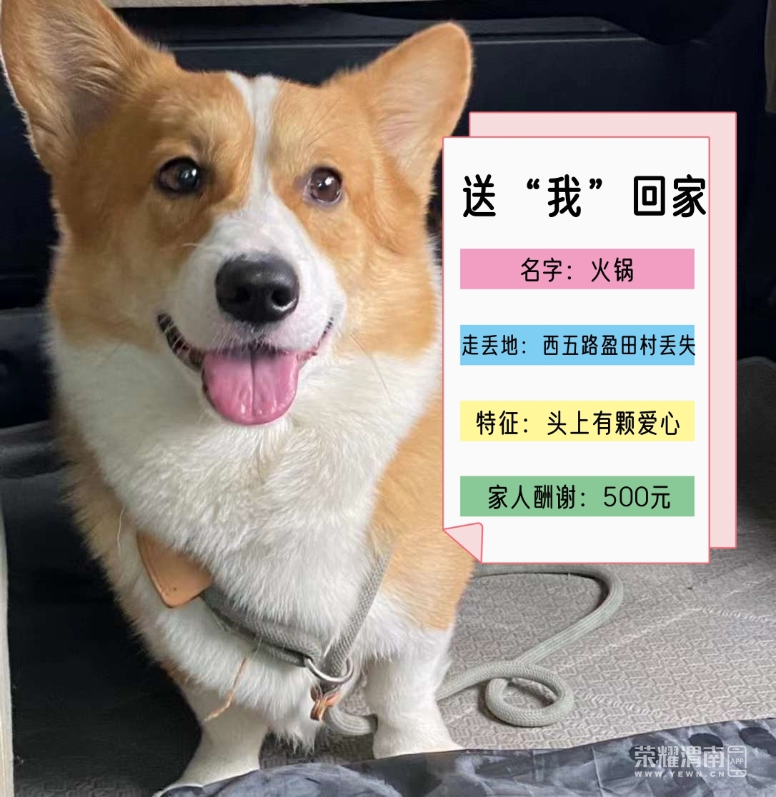 ΢��ͼƬ_20230912102233_����.jpg