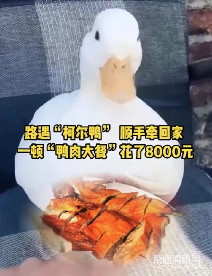 120006f8nwunjxnuhnzumb.jpeg