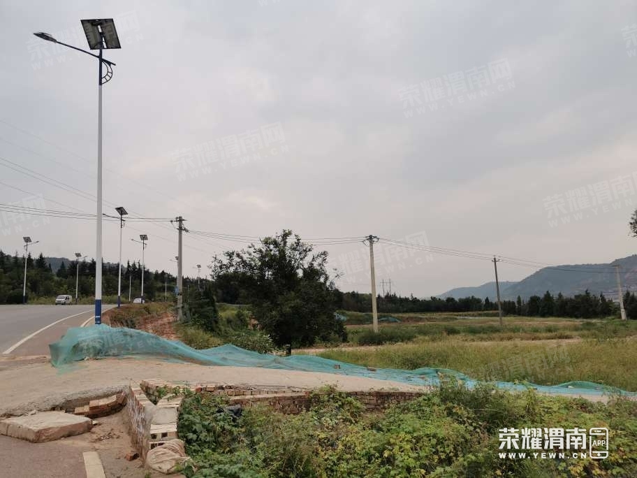 111329ipexxxx2x202tddi.jpg